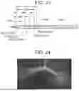 Fig. 17 - DEVICES AND METHODS FOR DELIVERING FLUID TO TISSUE DURING ABLATION THERAPY