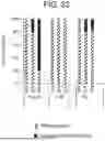Fig. 22 - DEVICES AND METHODS FOR DELIVERING FLUID TO TISSUE DURING ABLATION THERAPY