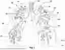 Fig. 02 - DEVICES AND METHODS FOR TREATING LUNG TUMORS