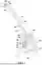 Fig. 11 - DEVICES AND METHODS FOR TREATING LUNG TUMORS