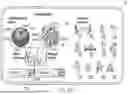Fig. 54 - METHODS FOR IMPROVED SURGICAL PLANNING USING MACHINE LEARNING AND DEVICES THEREOF