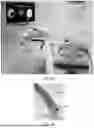 Fig. 19 - SYSTEMS AND METHODS FOR ADAPTIVE ABLATION VOLUME PREDICTION BASED ON TISSUE TEMPERATURE MEASUREMENTS AND ANATOMICAL SEGMENTATION