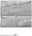 Fig. 04 - ADDITIVELY MANUFACTURED APPLIANCES WITH CELLULAR STRUCTURES