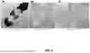 Fig. 05 - ADDITIVELY MANUFACTURED APPLIANCES WITH CELLULAR STRUCTURES