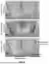 Fig. 06 - ADDITIVELY MANUFACTURED APPLIANCES WITH CELLULAR STRUCTURES