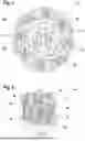 Fig. 04 - HEAD FOR AN ORAL CARE IMPLEMENT AND ORAL CARE IMPLEMENT