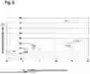 Fig. 06 - HEAD FOR AN ORAL CARE IMPLEMENT AND ORAL CARE IMPLEMENT