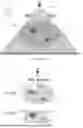 Fig. 07 - RADIATION THERAPY SYSTEMS AND METHODS WITH TUMOR TRACKING