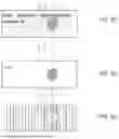 Fig. 13 - RADIATION THERAPY SYSTEMS AND METHODS WITH TUMOR TRACKING