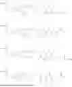 Fig. 51 - STING AGONIST COMPOUNDS