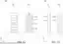 Fig. 16 - NANOSHEET GATE METAL SCHEME COMPATIBLE WITH AGGRESSIVE GATE WIDTH SCALING