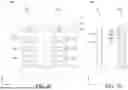 Fig. 19 - NANOSHEET GATE METAL SCHEME COMPATIBLE WITH AGGRESSIVE GATE WIDTH SCALING
