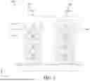 Fig. 23 - NANOSHEET GATE METAL SCHEME COMPATIBLE WITH AGGRESSIVE GATE WIDTH SCALING