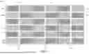 Fig. 06 - SEMICONDUCTOR STRUCTURE HAVING DUMMY REGIONS