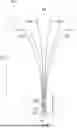 Fig. 01 - Artificial Eyelash Fan