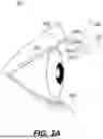 Fig. 06 - Artificial Eyelash Fan