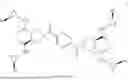 Fig. 02 - NEXT GENERATION DIPROVOCIMS THAT ACTIVATE THE INNATE AND ADAPTIVE IMMUNE RESPONSE