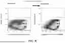 Fig. 08 - ENGINEERED STEM CELLS AND USES THEREOF