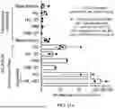 Fig. 35 - ENGINEERED STEM CELLS AND USES THEREOF