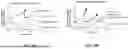 Fig. 45 - ENGINEERED STEM CELLS AND USES THEREOF