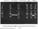 Fig. 09 - GENE-BASED MEDICINES AND CELLULAR THERAPY FOR DISEASE