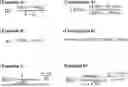 Fig. 01 - METHODS FOR MEASURING CIRCADIAN RHYTHM FACTORS