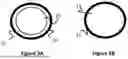 Fig. 04 - Catheter Circuit