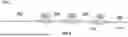 Fig. 08 - METHOD FOR ROBOTICALLY CONTROLLING INTERVENTIONAL DEVICE ASSEMBLY