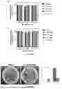 Fig. 06 - ANTIMICROBIAL GELS