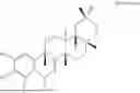 Fig. 02 - PHARMACEUTICAL COMPOSITION CONTAINING DEMETHYLZEYLASTERAL FOR PREVENTION OR TREATMENT OF DISEASES CAUSED BY MUSCLE LOSS