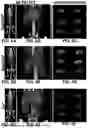Fig. 07 - COMPOSITIONS OF AND METHODS OF MAKING FERRITIN-BASED IMAGING AGENTS