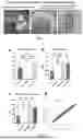 Fig. 02 - FUNCTIONALIZED POLYURETHANE AND MENISCUS PROSTHESIS, THE PREPARATION METHOD THEREOF AND THE USES THEREFOR