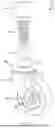 Fig. 02 - Spring Compression Casters and Jackstand Apparatus