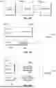 Fig. 115 - METHODS AND SYSTEMS FOR TRAINING ARTIFICIAL INTELLIGENCE MODELS