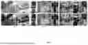 Fig. 08 - ITERATIVE SPECULARITY FACTORIZATION FOR IMAGE ENHANCEMENT