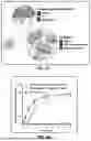 Fig. 02 - MICROFLUIDIC ASSEMBLY OF MITOCHONDRIA-LOADED MICROPARTICLES FOR ON-DEMAND DELIVERY