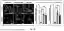 Fig. 03 - MICROFLUIDIC ASSEMBLY OF MITOCHONDRIA-LOADED MICROPARTICLES FOR ON-DEMAND DELIVERY