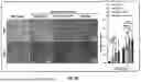 Fig. 05 - MICROFLUIDIC ASSEMBLY OF MITOCHONDRIA-LOADED MICROPARTICLES FOR ON-DEMAND DELIVERY