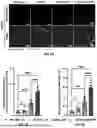 Fig. 08 - MICROFLUIDIC ASSEMBLY OF MITOCHONDRIA-LOADED MICROPARTICLES FOR ON-DEMAND DELIVERY