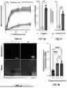 Fig. 10 - MICROFLUIDIC ASSEMBLY OF MITOCHONDRIA-LOADED MICROPARTICLES FOR ON-DEMAND DELIVERY