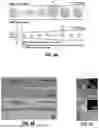 Fig. 11 - MICROFLUIDIC ASSEMBLY OF MITOCHONDRIA-LOADED MICROPARTICLES FOR ON-DEMAND DELIVERY