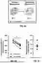 Fig. 14 - MICROFLUIDIC ASSEMBLY OF MITOCHONDRIA-LOADED MICROPARTICLES FOR ON-DEMAND DELIVERY
