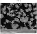Fig. 08 - Positive Electrode Active Material for Lithium Secondary Battery and Lithium Secondary Battery Including the same
