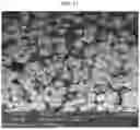 Fig. 10 - Positive Electrode Active Material for Lithium Secondary Battery and Lithium Secondary Battery Including the same