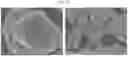 Fig. 12 - Positive Electrode Active Material for Lithium Secondary Battery and Lithium Secondary Battery Including the same