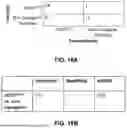 Fig. 18 - MUSCLE PROBE, SYSTEM AND METHOD