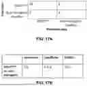 Fig. 19 - MUSCLE PROBE, SYSTEM AND METHOD