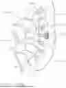 Fig. 197 - Surgical instrument with temperature based control adjustment