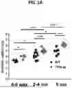 Fig. 02 - MICROBIAL METABOLITES ON INTESTINAL INFLAMMATION