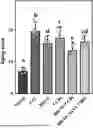 Fig. 01 - BIFIDOBACTERIUM BREVE FOR IMPROVING AGING-RELATED COGNITIVE DISORDER AND USE THEREOF